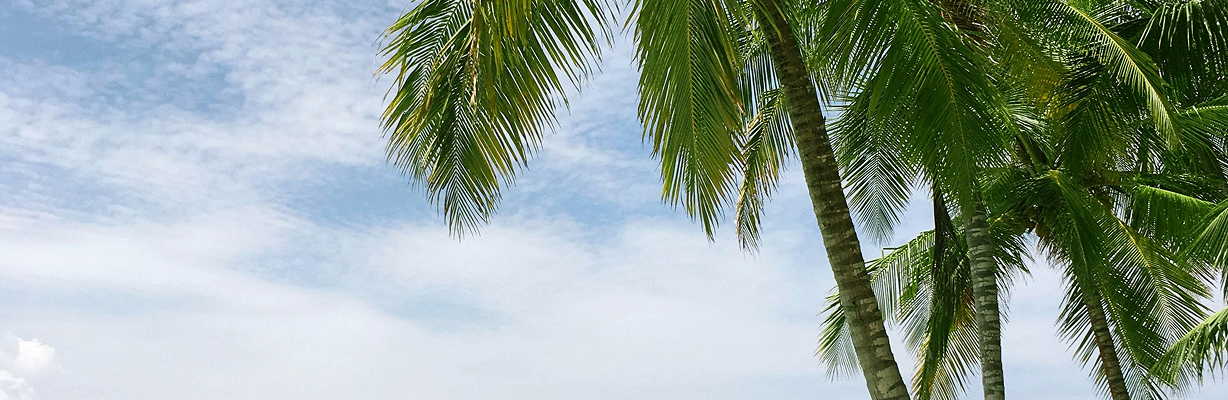 プロモーションカードの背景